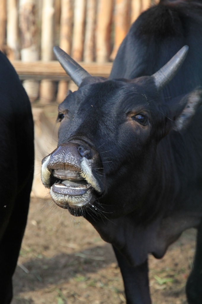 ����� 1.jpg